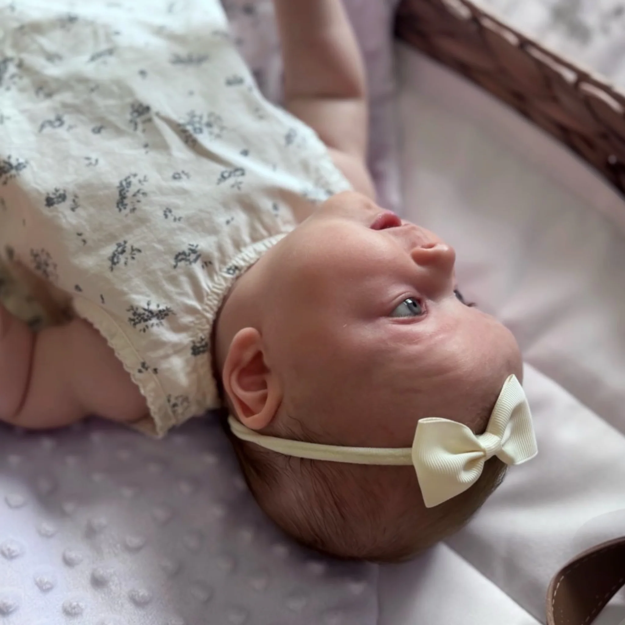 Ivory 2.5 inch Dainty Bow On Headband