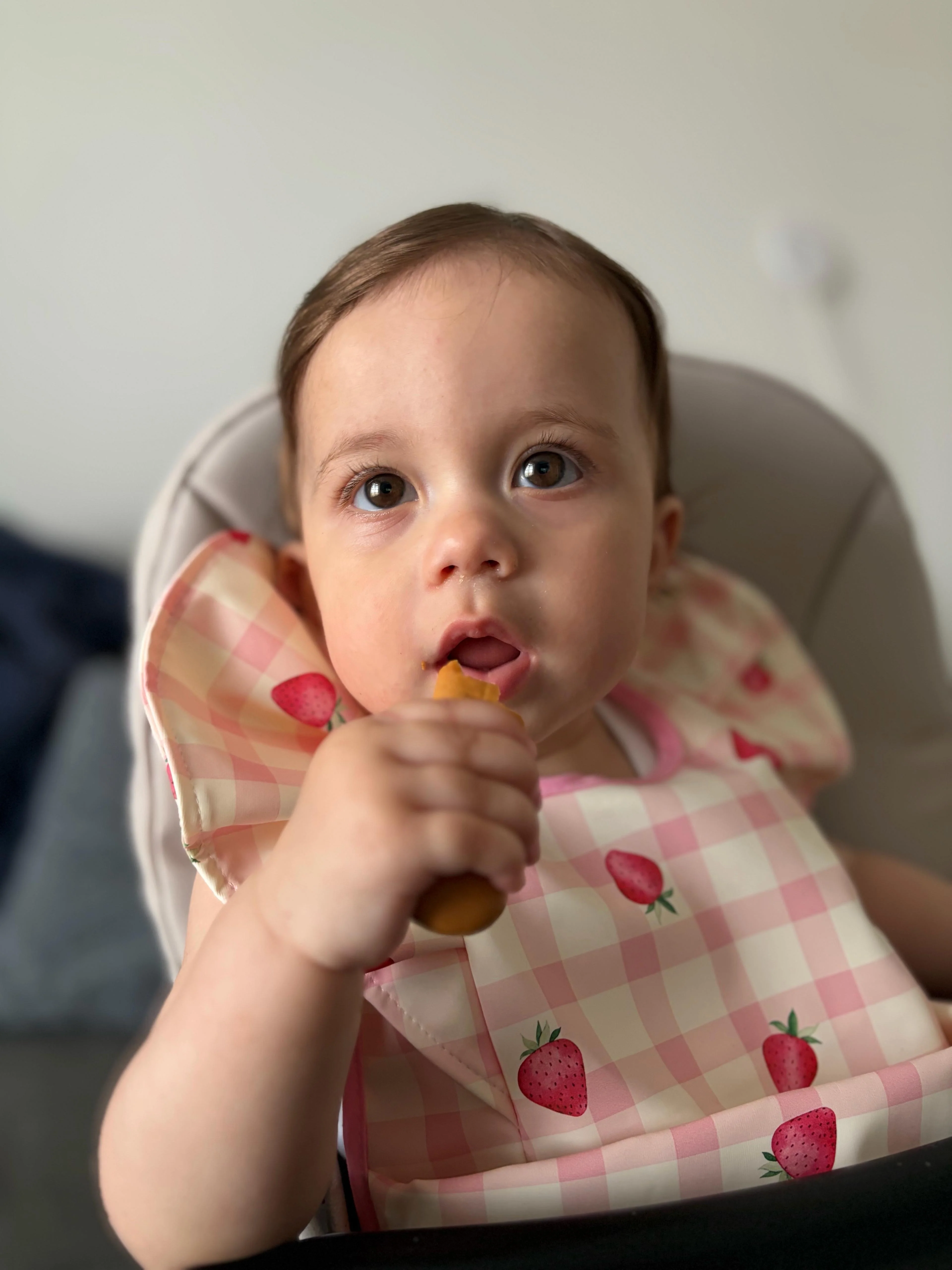 Pink Gingham Strawberry Pattern Frill Detailed Waterproof Weaning Bib - Image 11