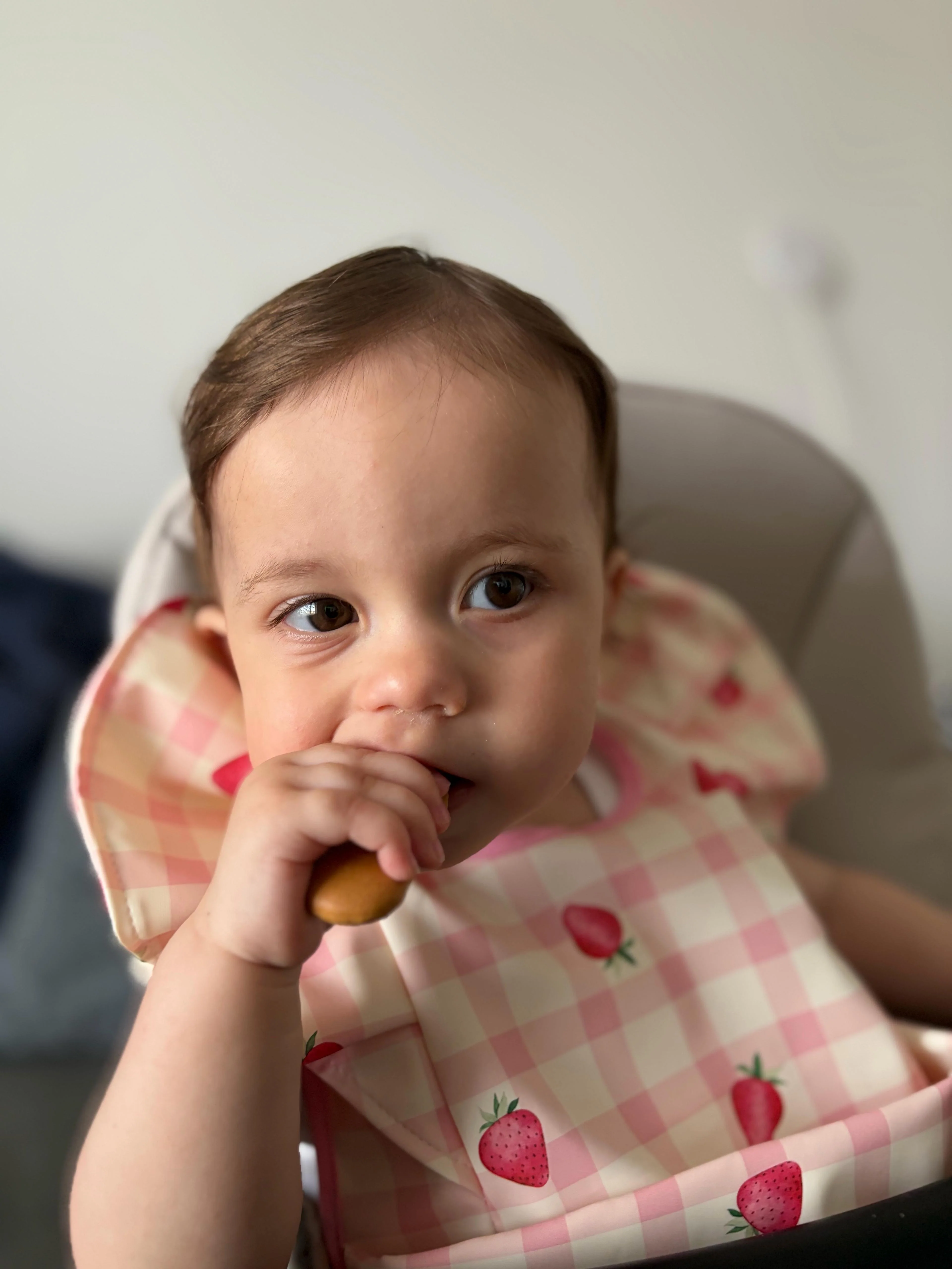 Pink Gingham Strawberry Pattern Frill Detailed Waterproof Weaning Bib - Image 12