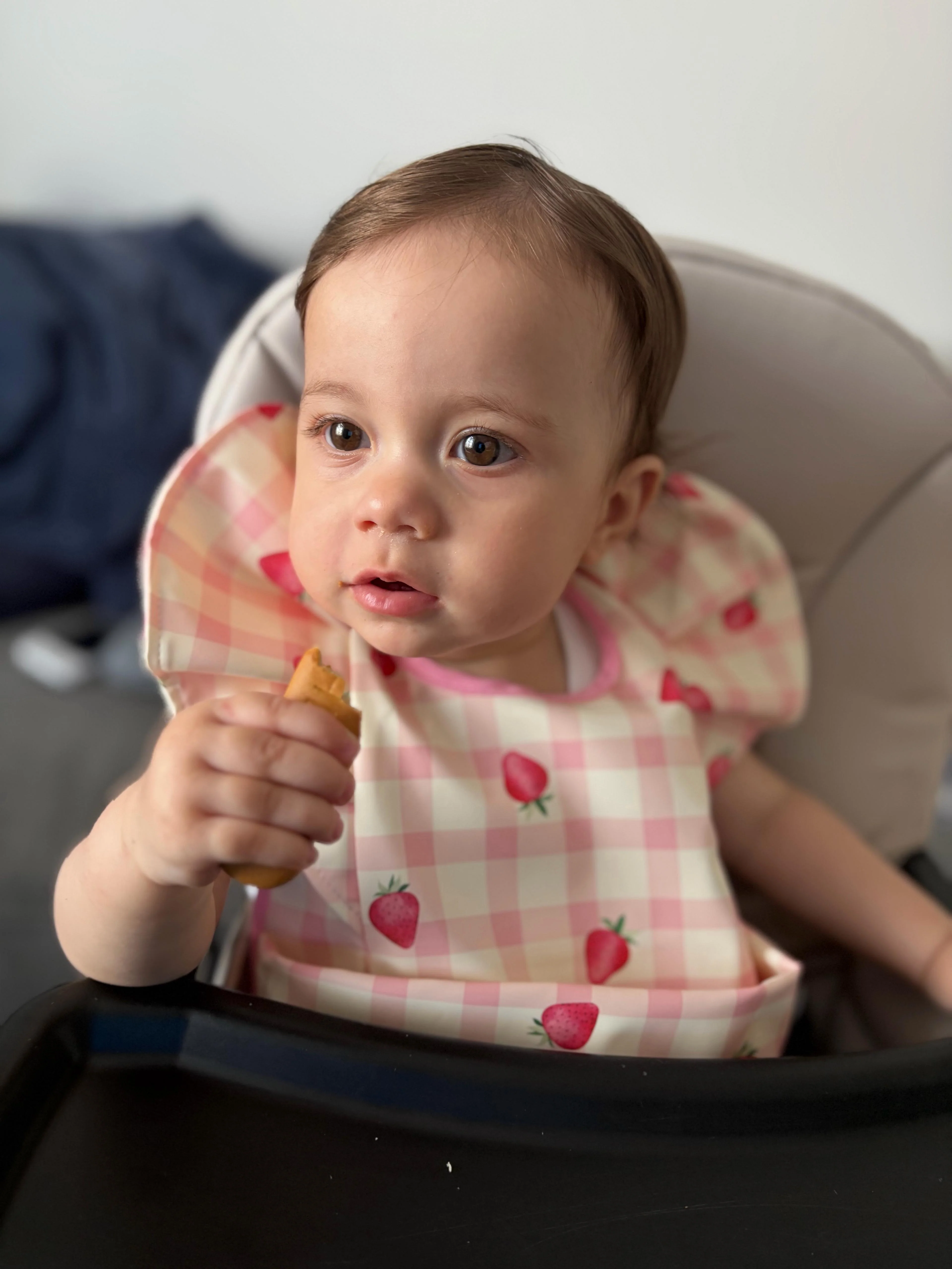 Pink Gingham Strawberry Pattern Frill Detailed Waterproof Weaning Bib - Image 8