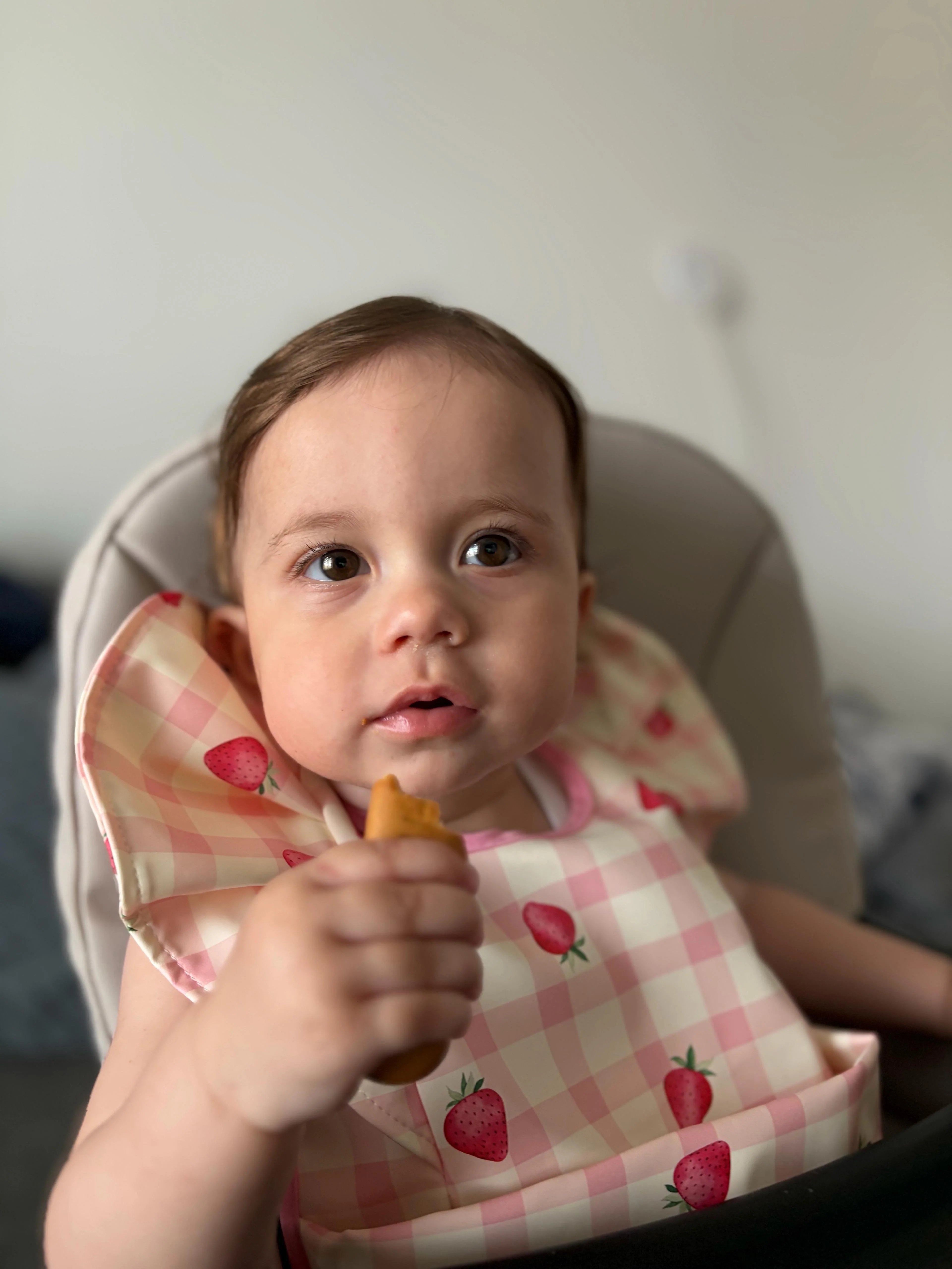 Pink Gingham Strawberry Pattern Frill Detailed Waterproof Weaning Bib - Image 9